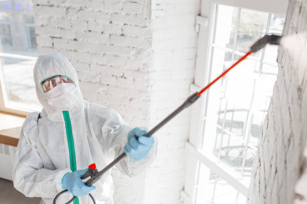 Best Mold-Related Health Consultation  in Pomona Park, FL