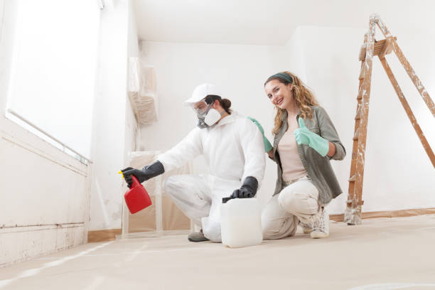 Best Basement Mold Removal  in Pomona Park, FL