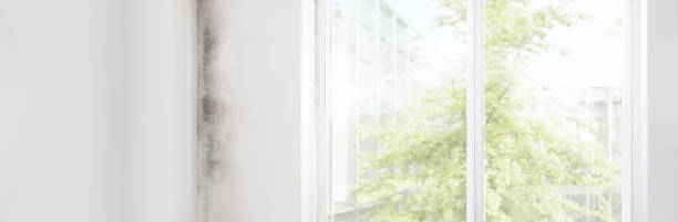 Best Forensic Mold Investigation  in Pomona Park, FL