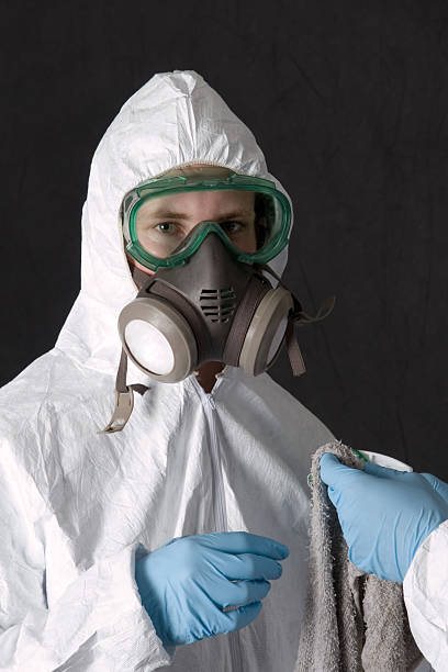 Best Attic Mold Removal  in Pomona Park, FL